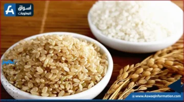 سعر الأرز.. تعرف على تحديثات سعر طن الأرز الشعير لدى التجار اليوم الإثنين